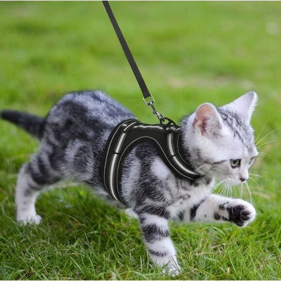 🔹️NIB Black Cat or Dog Reflective Harness & Leash Small - Picture 1 of 16